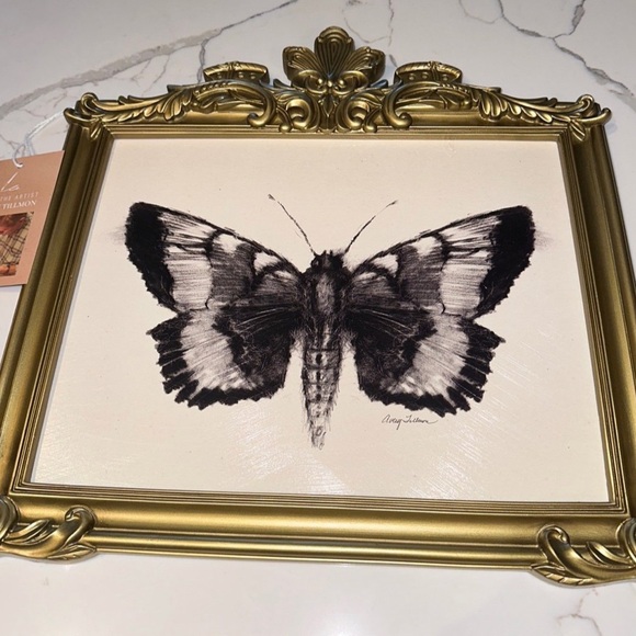 Avery Tillmon Other - Avery Tillmon Moth Wall Art